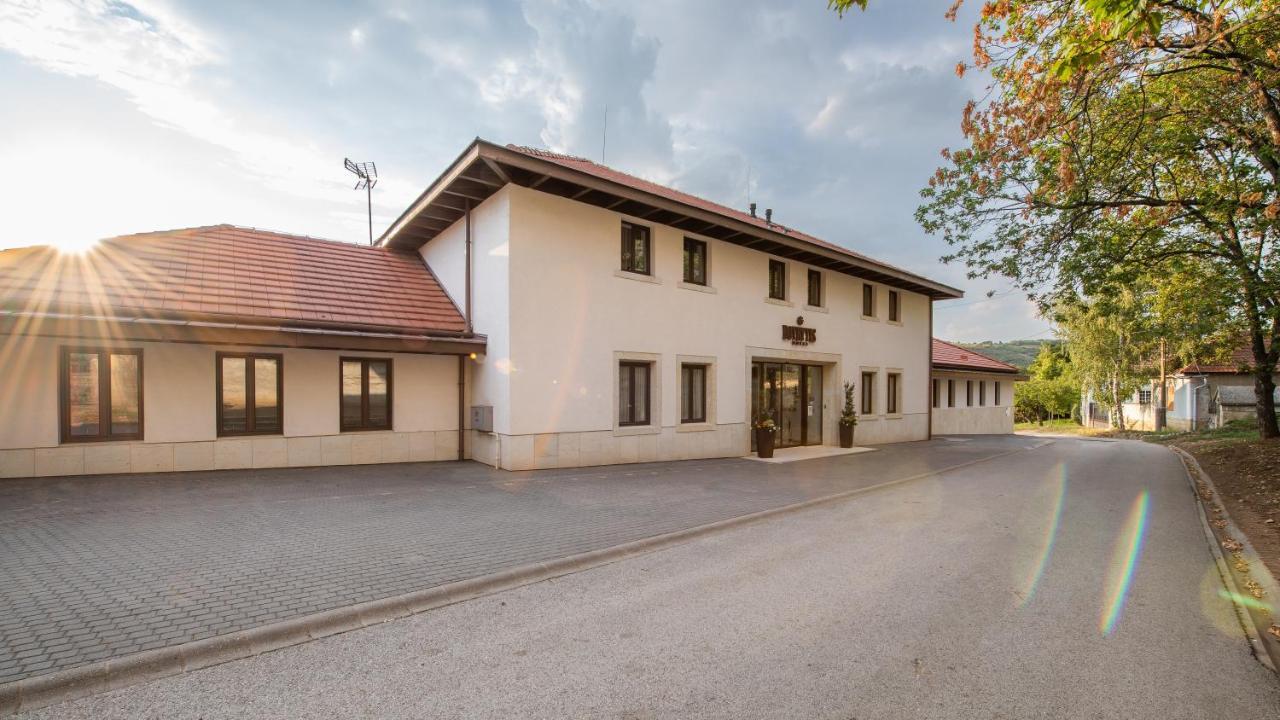 Botrytis Borhotel Mád المظهر الخارجي الصورة
