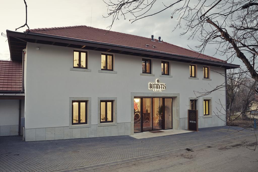 Botrytis Borhotel Mád الغرفة الصورة